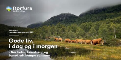 Nortura baerekraftsrapport 2025